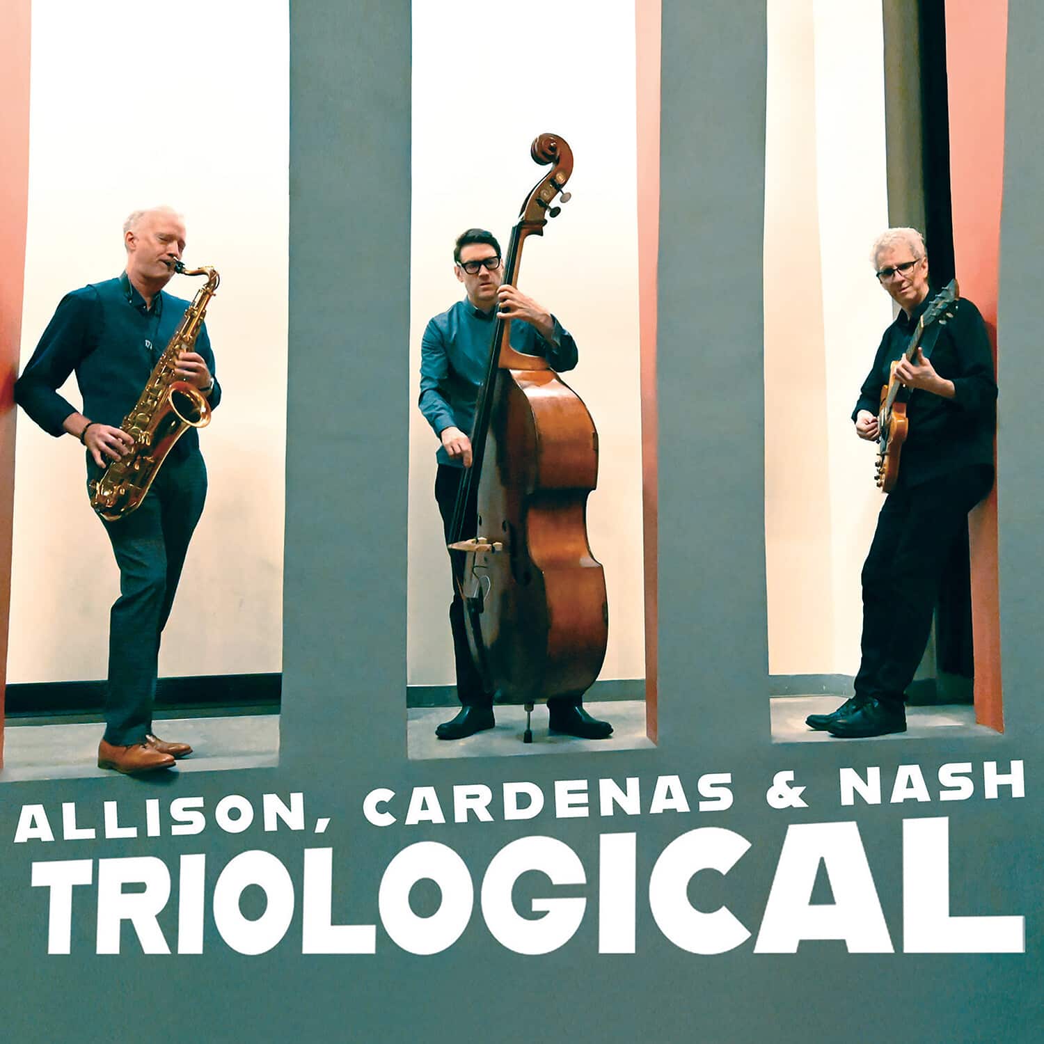 Ben Allison - Triological   - COMPACT DISCS [CD] price history on PriceWatchPro