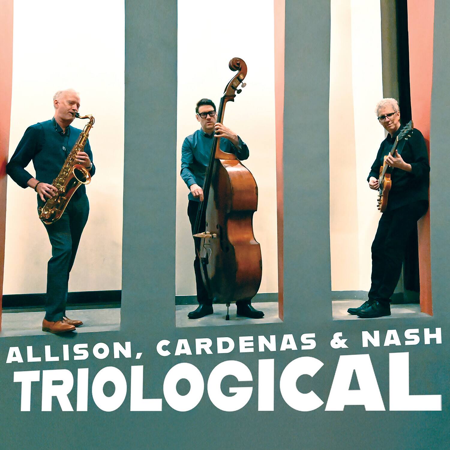 Ben Allison - Triological   - COMPACT DISCS [CD]