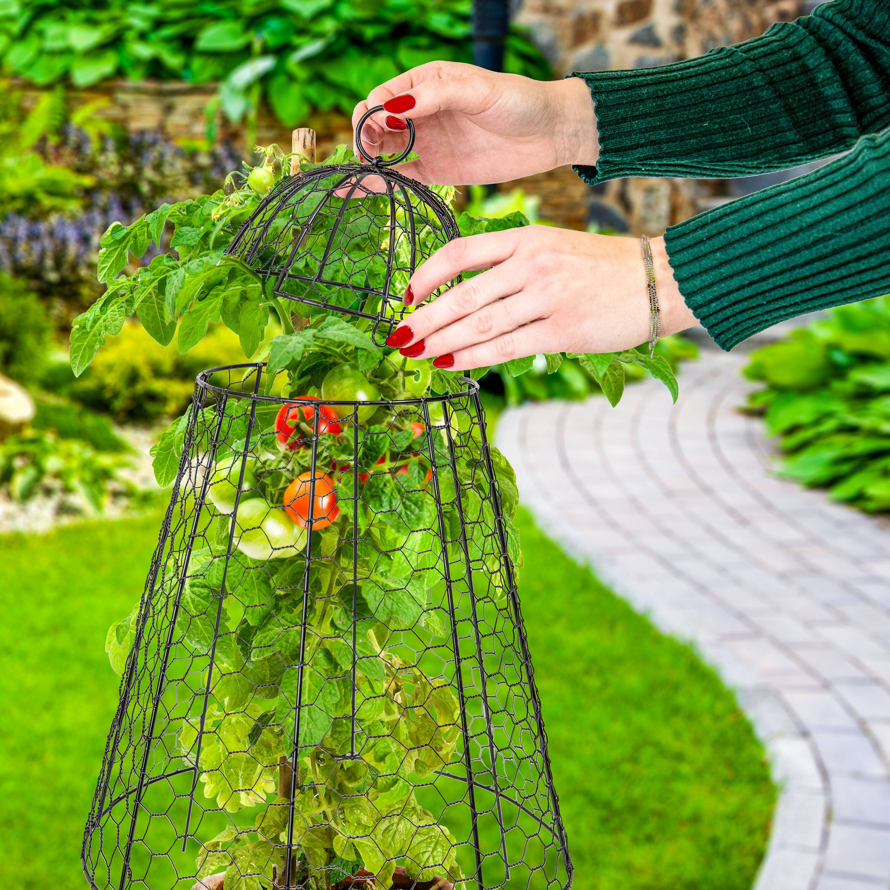 Alt View 7. Sunnydaze - Iron Mesh Cloche Plant Protector with Removable Cover - 6-Pack - Silver.