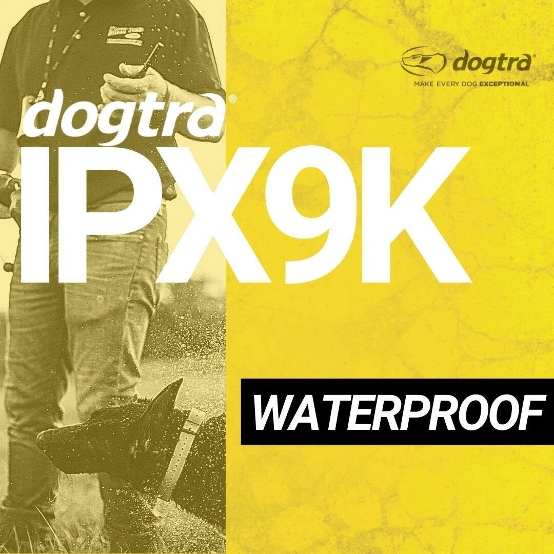 dogtra  
IPX9K  
WATERPROOF  

MAKE EVERY DOG EXCEPTIONAL