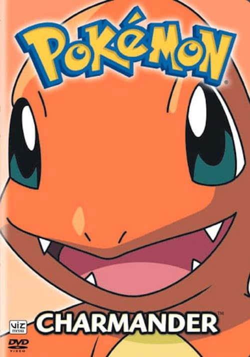 Pok#mon: 10th Anniversary, Vol. 9 [DVD]