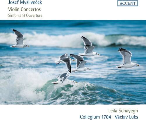 Myslivecek / Schayegh - Violin Concertos   - COMPACT DISCS [CD] price history on PriceWatchPro