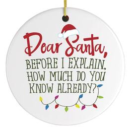 OrnamentallyYou - Funny Dear Santa Quote Christmas Ornament - Multi-colored