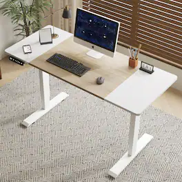 GOODSILO - Electric Height Adjustable Standing Desk with Programmable Memory and Quiet Motor for Home Office and Gaming Setup - Oak Natural Wood + Antique White