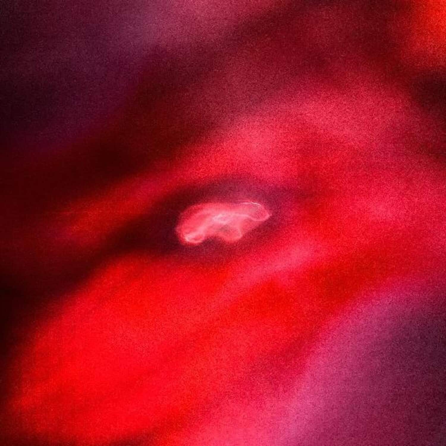 Saffronkeira - The Faded Orbit - VINYL LP