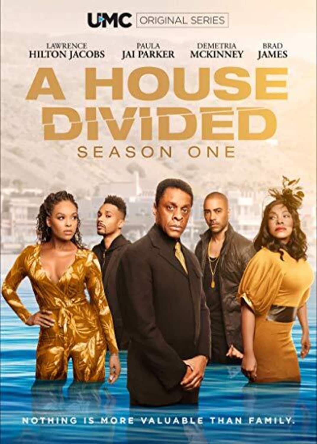 A House Divided: Season 1  - DVD