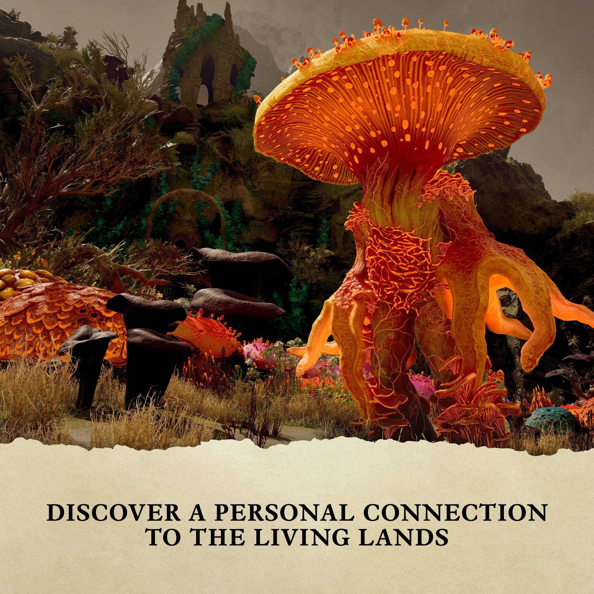 DISCOVER A PERSONAL CONNECTION TO THE LIVING LANDS