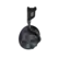 BEACH TURTLE
