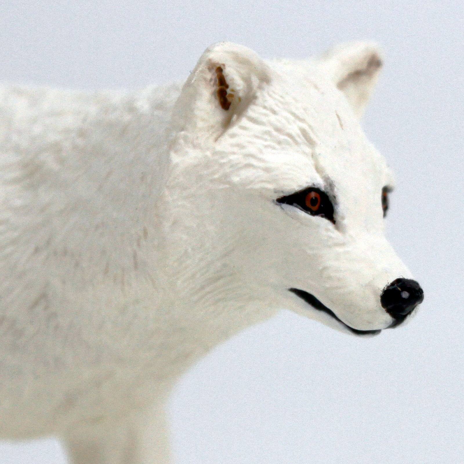Alt View 3. Safari Ltd. - Arctic Fox.