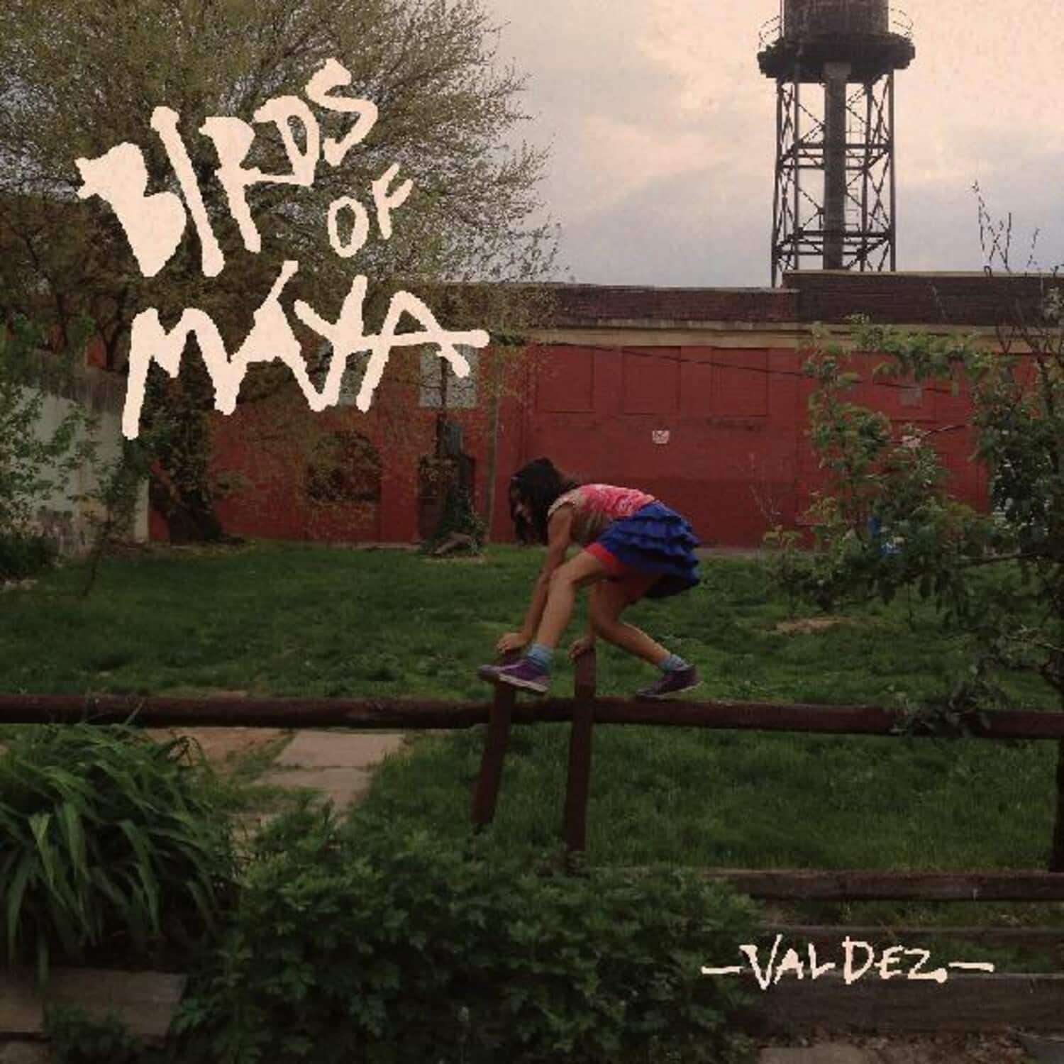 Birds of Maya - Valdez   - VINYL LP price history on PriceWatchPro