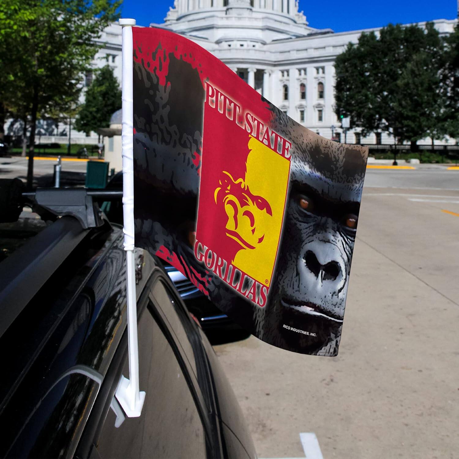 PUT STATE GORILLAS  
RICO INDUSTRIES, INC.