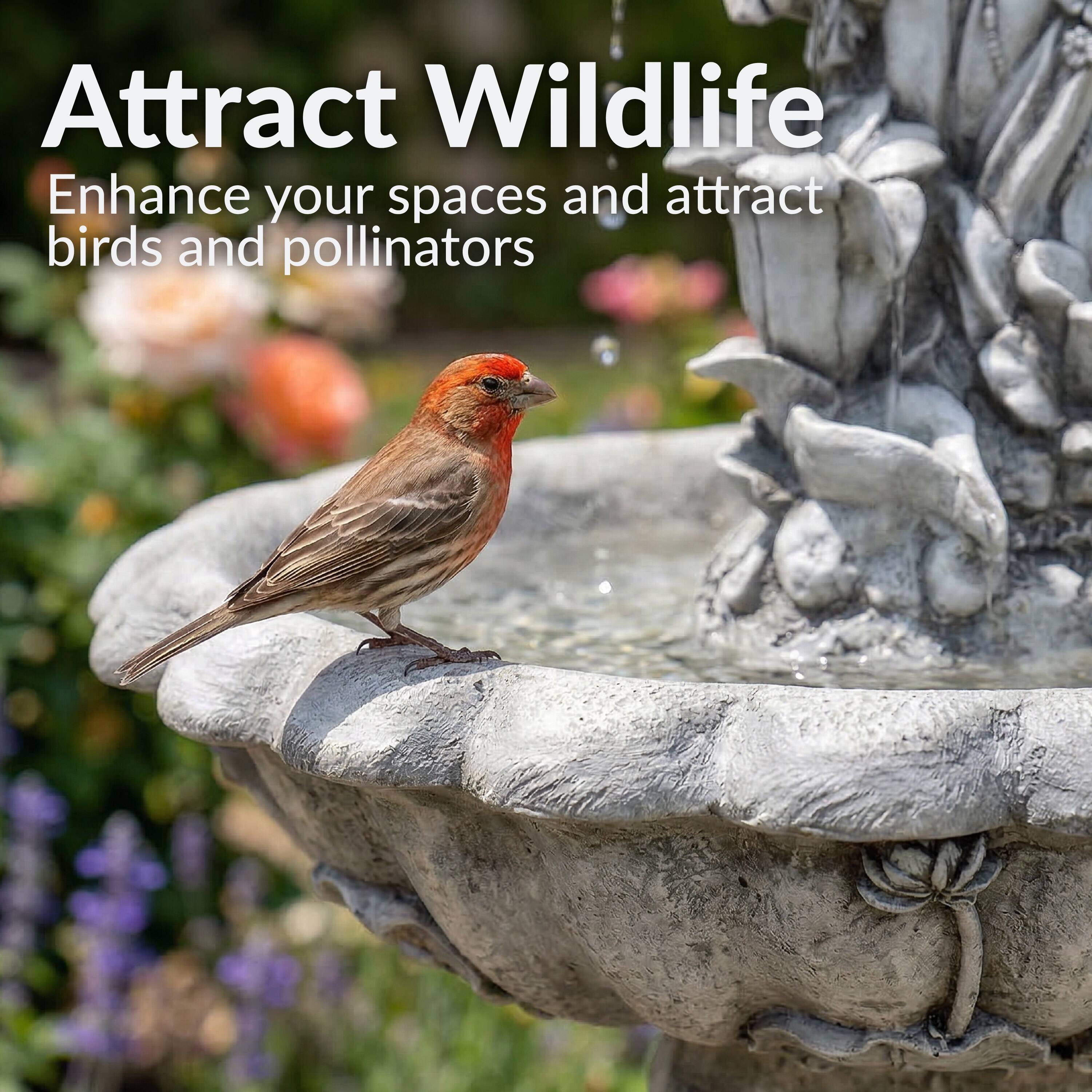 Attract Wildlife  
Enhance your spaces and attract birds and pollinators