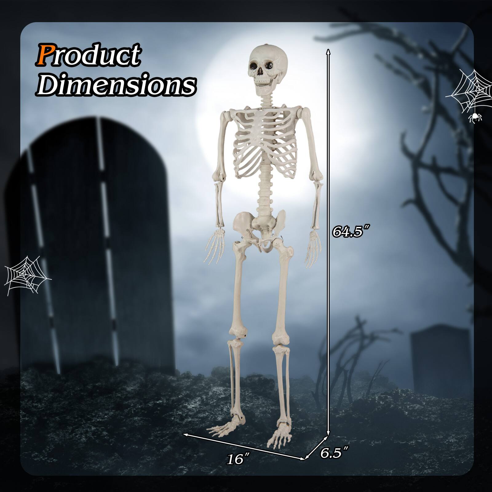 Product Dimensions
64.5" x 16" x 6.5"