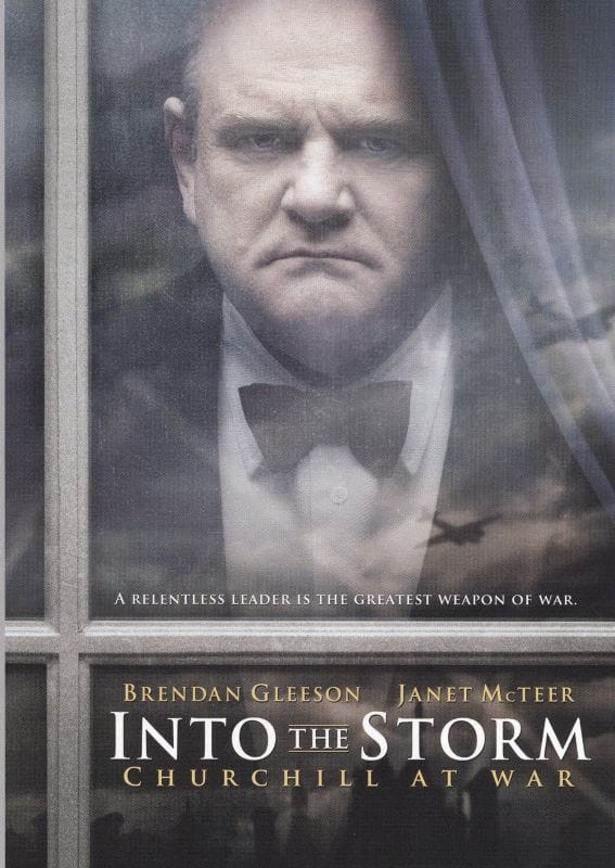 Into the Storm (DVD)