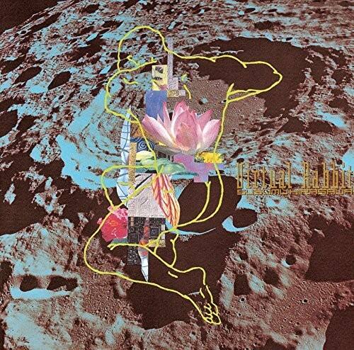 Susumu Hirasawa Virtual Rabbit COMPACT DISCS [CD] - Best Buy