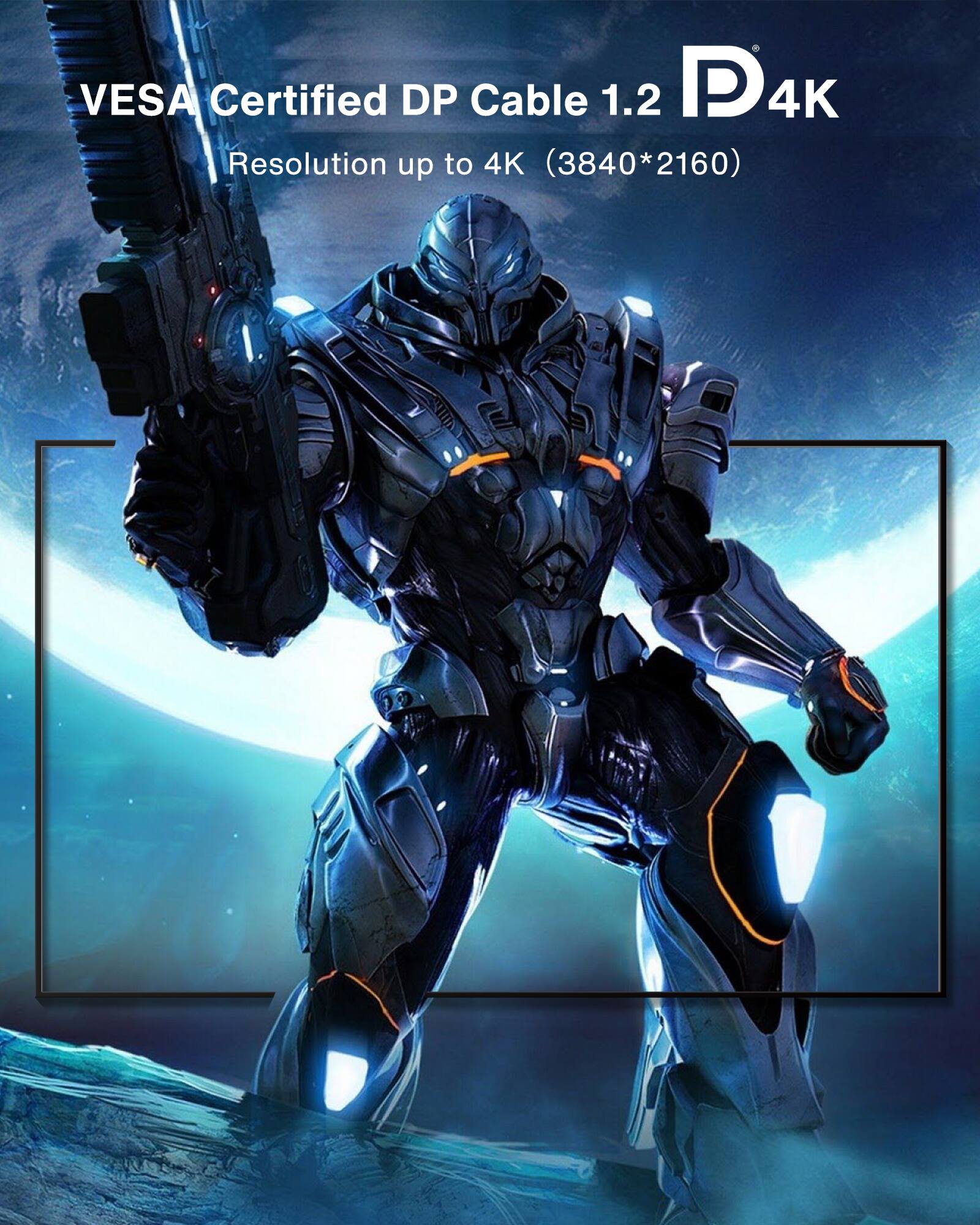 VESA Certified DP Cable 1.2  
Resolution up to 4K (3840*2160)