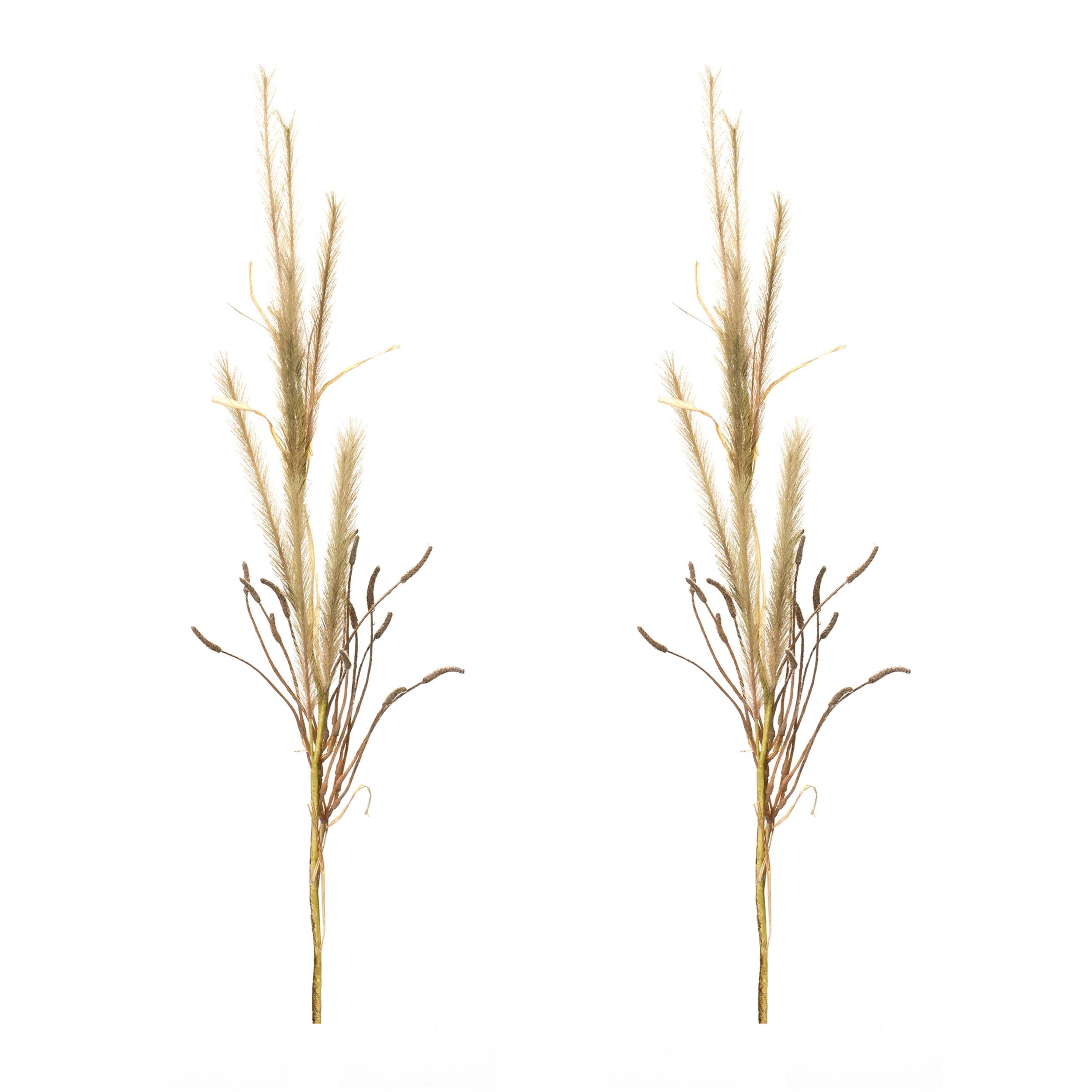 Left. BreeBe - Foxtail Grass Spray (Set of 2) - Brown.