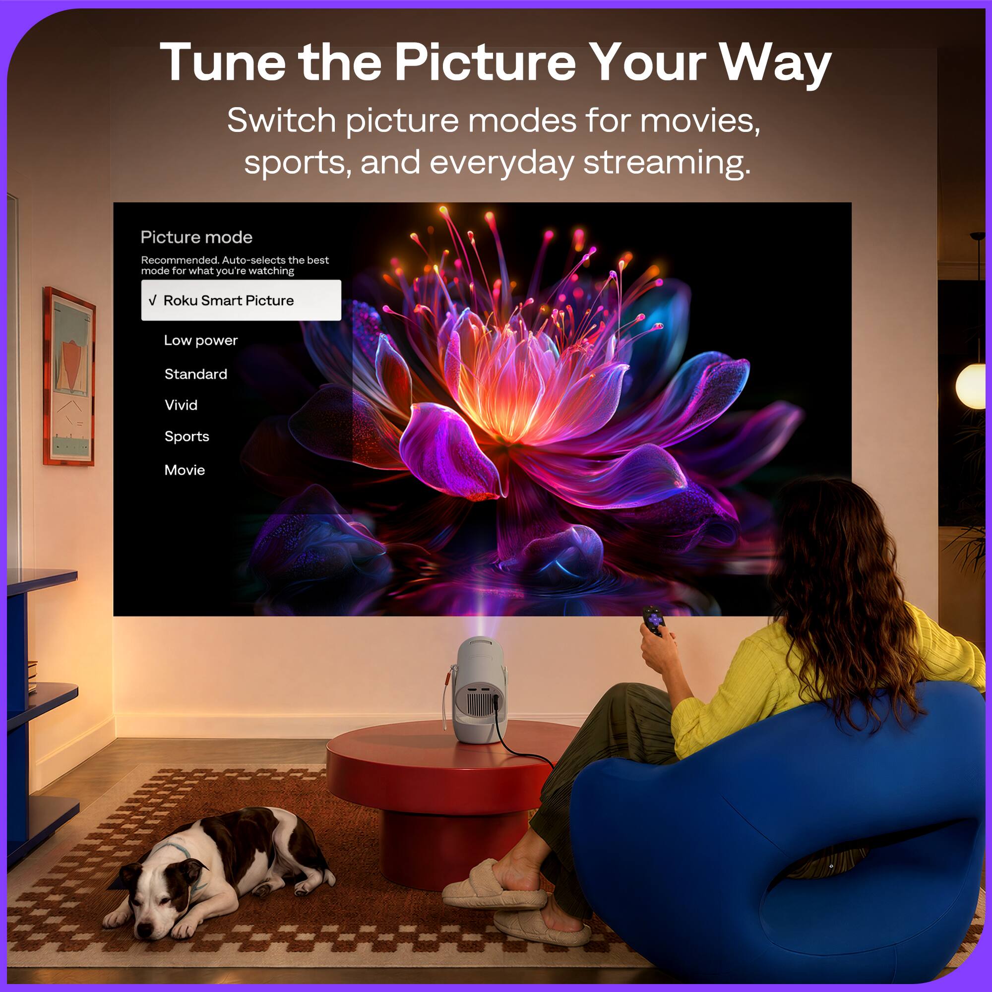 Tune the Picture Your Way  
Switch picture modes for movies, sports, and everyday streaming.

Picture mode  
Recommended. Auto-selects the best mode for what you're watching  
✓ Roku Smart Picture  
Low power  
Standard  
Vivid  
Sports  
Movie