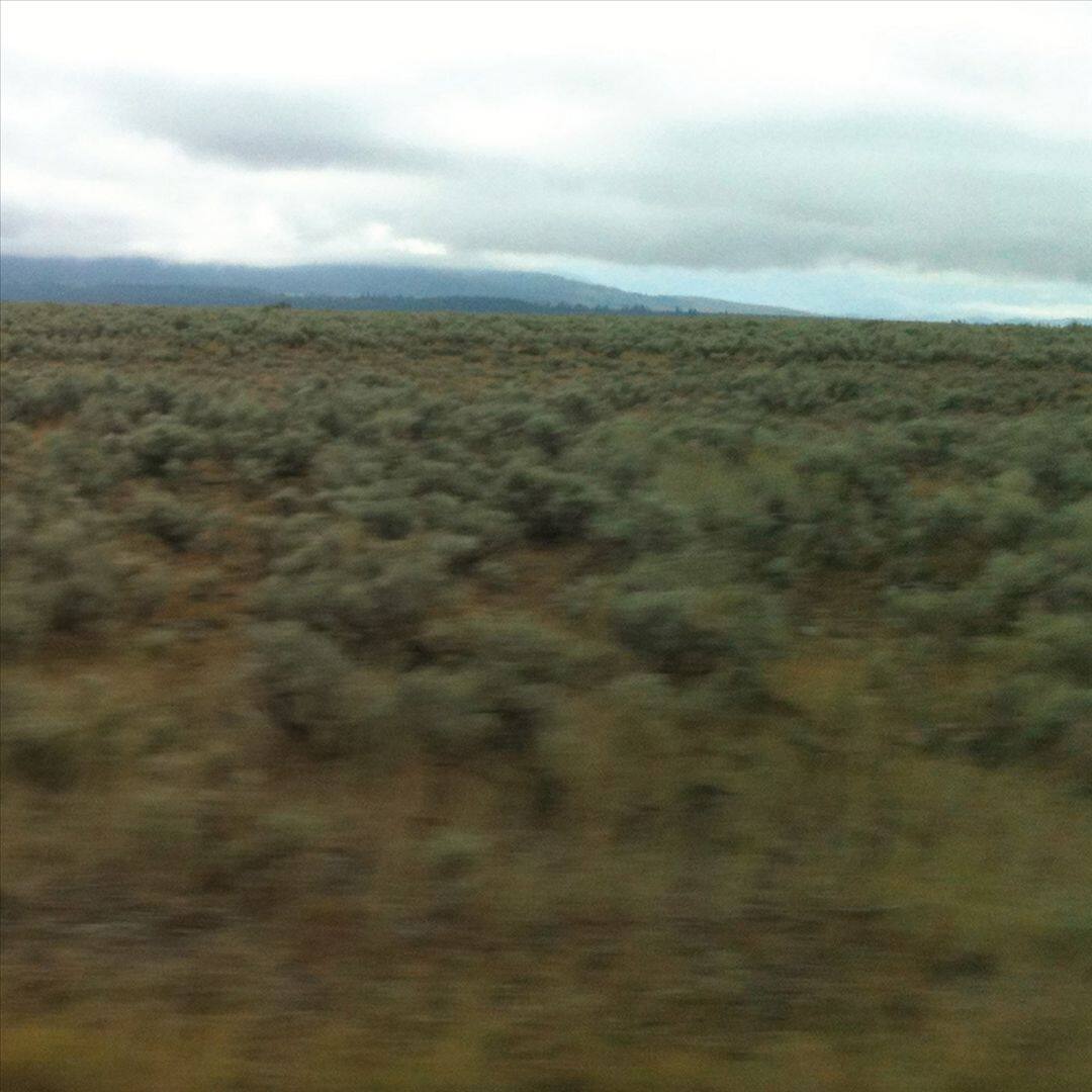 Front. 50,000,000 Elvis Fans Can't Be Wrong [LP] [LP].