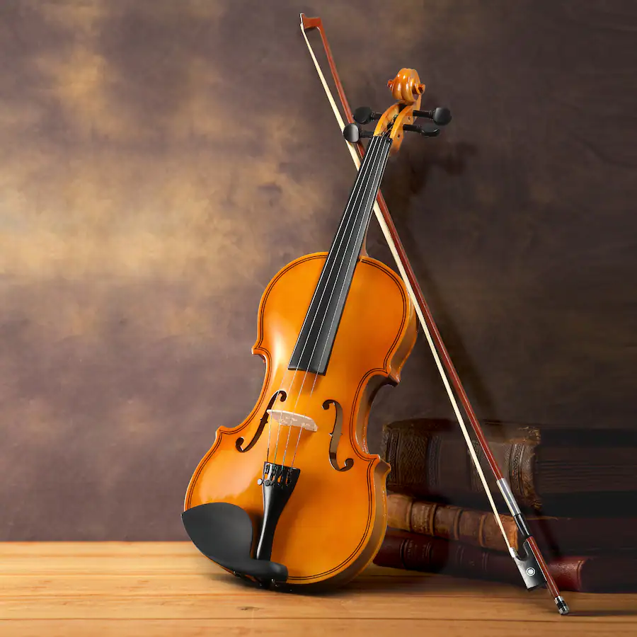 Volin Bridge Winado 1/4 Violin, Full Size Acoustic Fiddle,Beginner Kit with Hard ...
