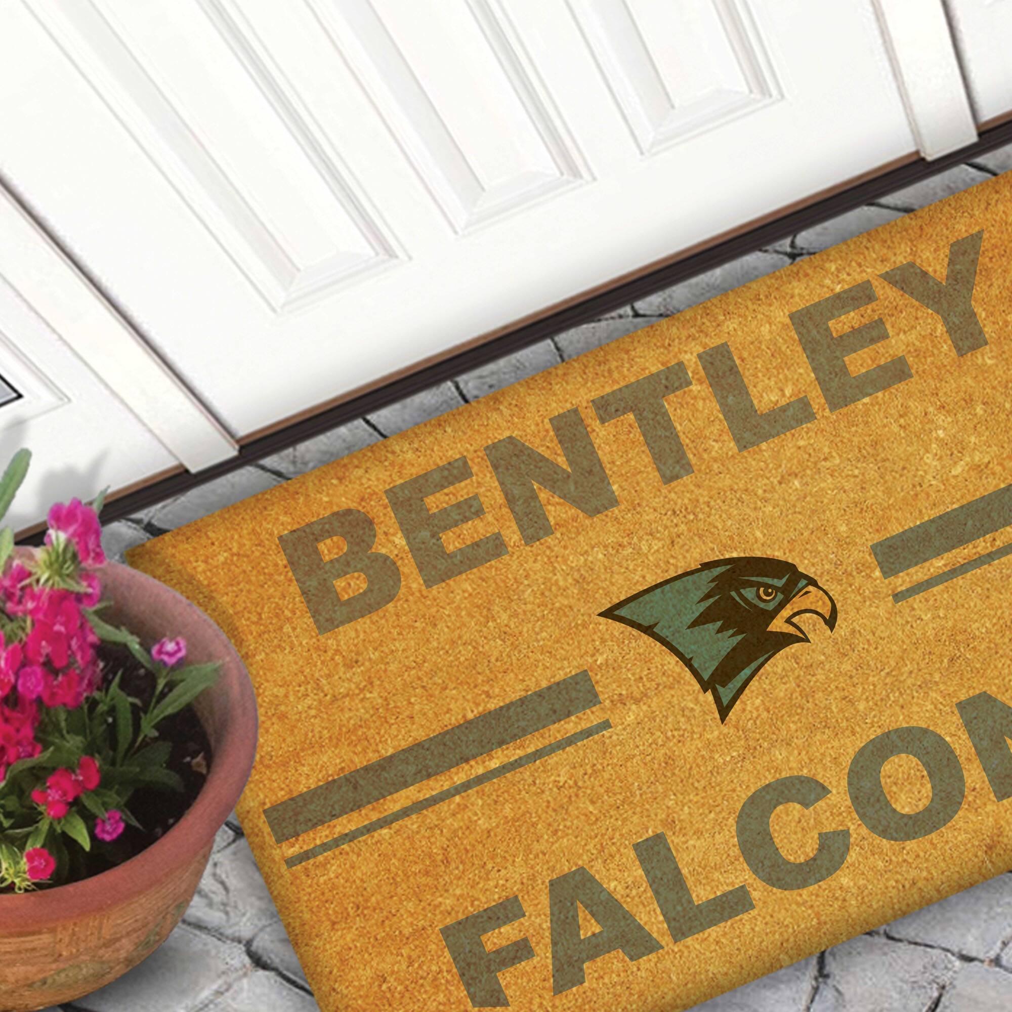 BENTLEY  
FALCONS