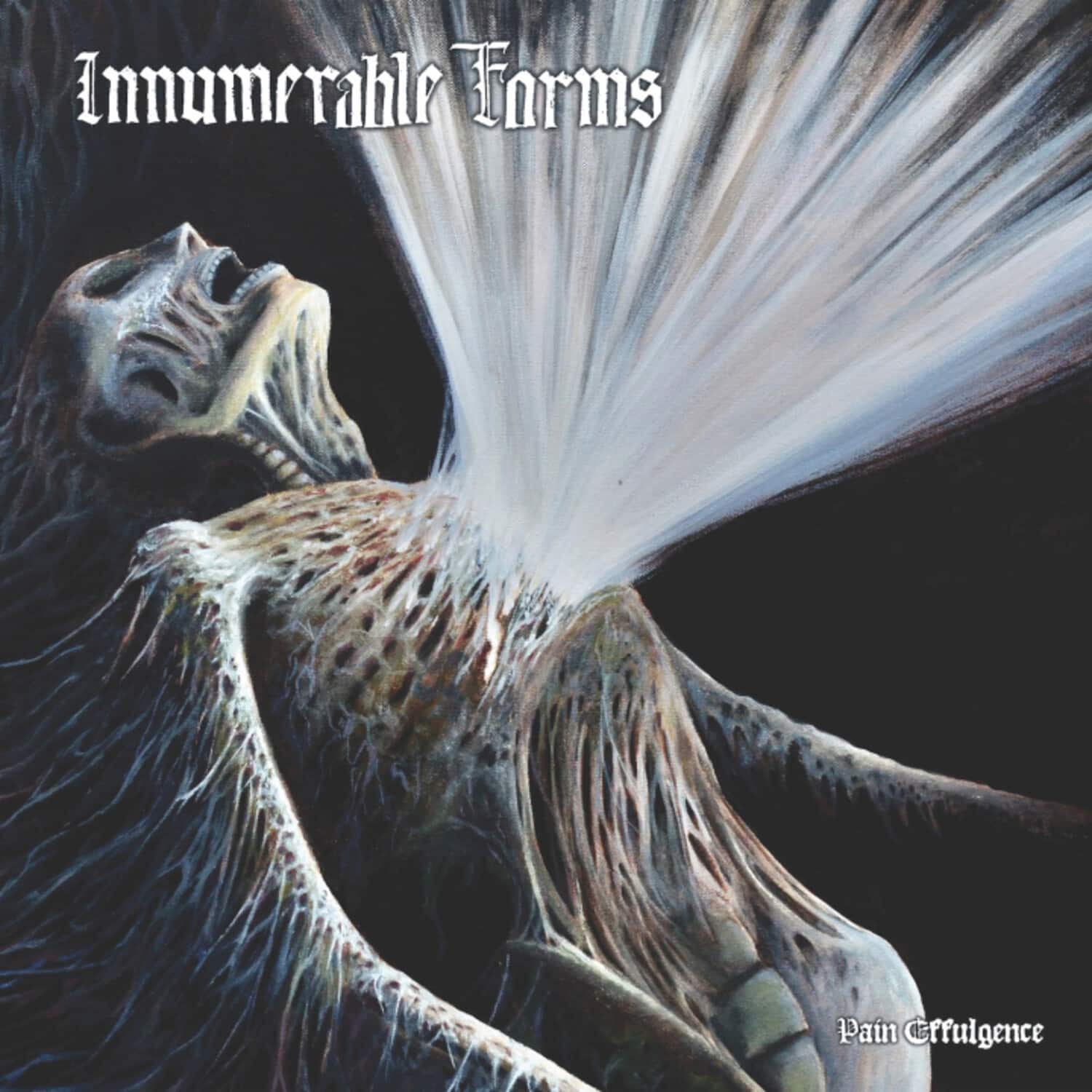 Innumerable Forms - Pain Effulgence   - COMPACT DISCS [CD] price history on PriceWatchPro