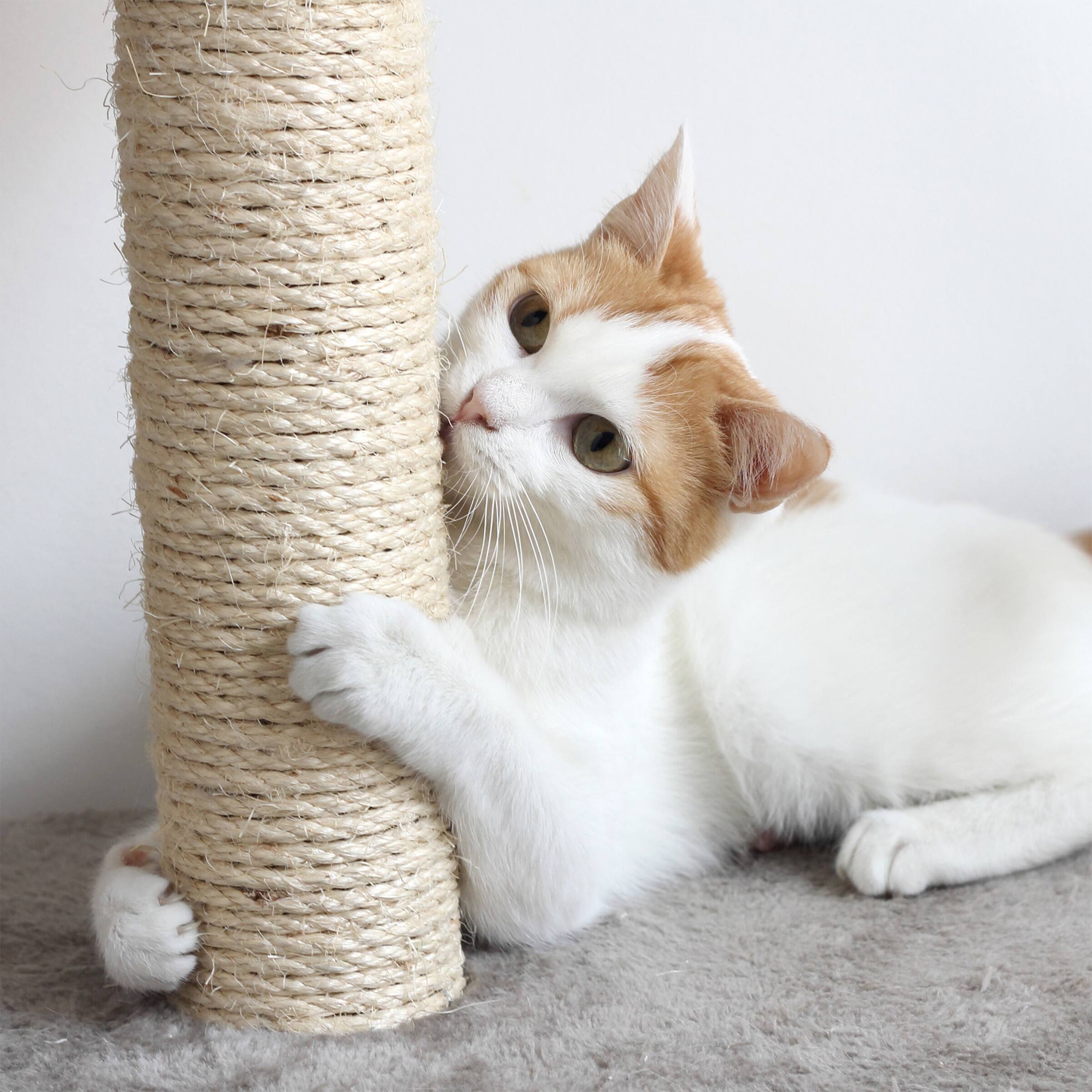 Alt View 2. PetMaker - 3-Tier Cat Tower Indoor Feline Furniture with 2 Napping Perches, 2 Sisal Rope Scratching Posts, Hole, and Fun Toy - Black and Tan.