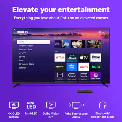 Roku 65