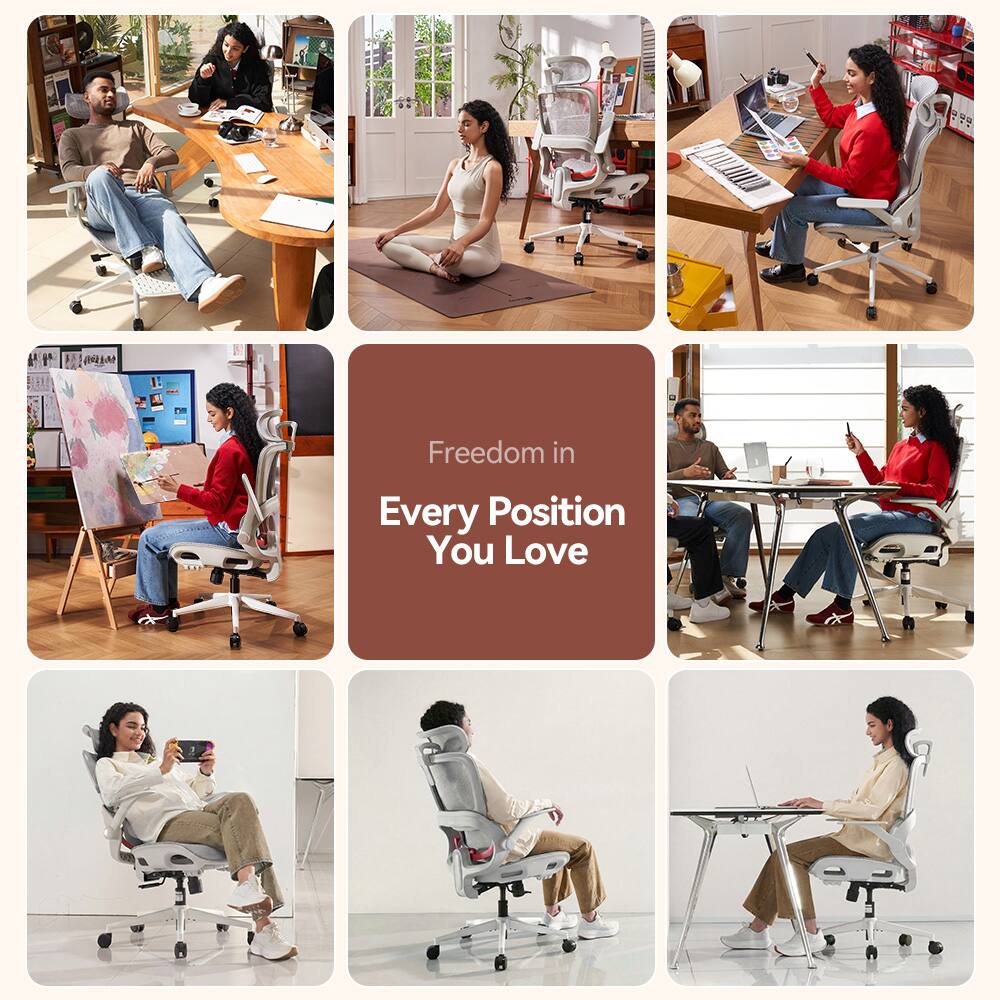 SIHOO B100 Ergonomic Office Chair, Desk Chair with Zoned Back