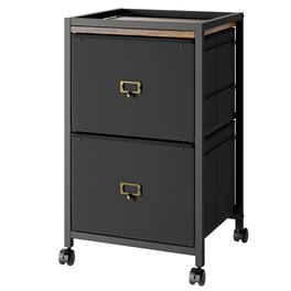 Acekool - Mobile Filing Cabinet for Home Office, 2-Drawer, Under Desk Rolling Filing Organizer - Black