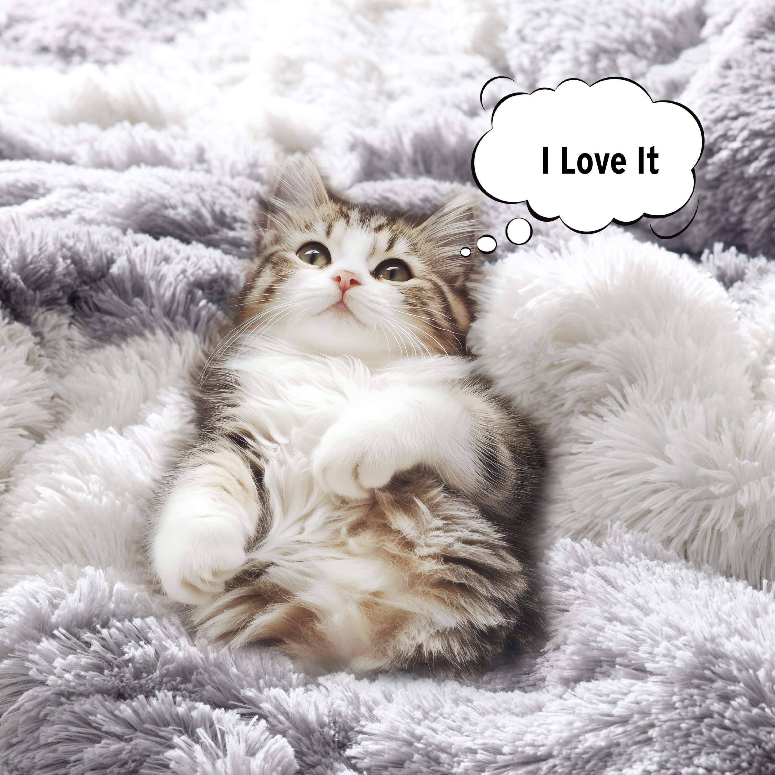 Alt View 2. PO3TICJUNKI3 - Shaggy Faux Comforter Set Cozy Soft Long With Ombre Color Waves Pattern Modern All Season Down Alternative - Blush-Twin/Twin XL.