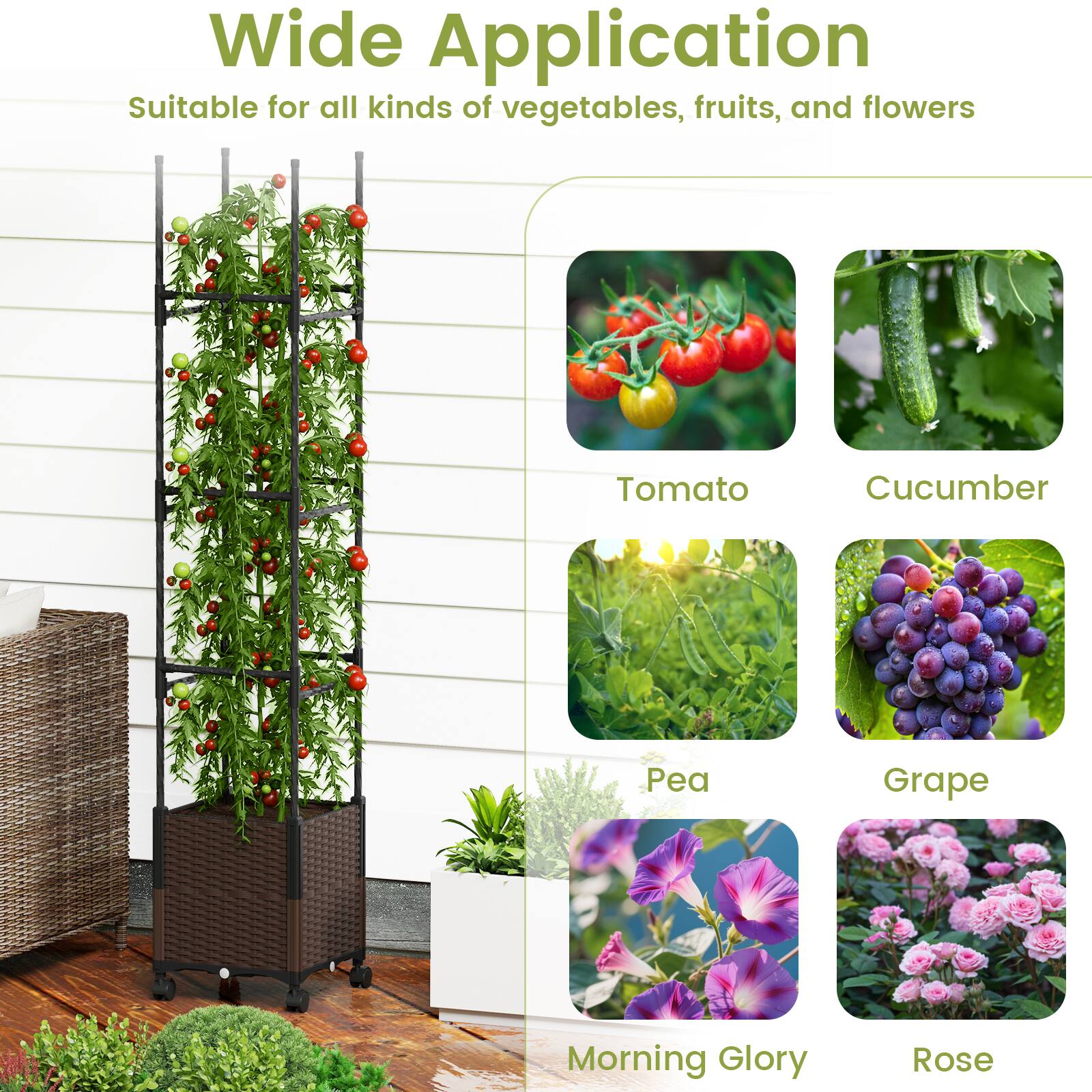 Wide Application  
Suitable for all kinds of vegetables, fruits, and flowers  

- Tomato  
- Cucumber  
- Pea  
- Grape  
- Morning Glory  
- Rose
