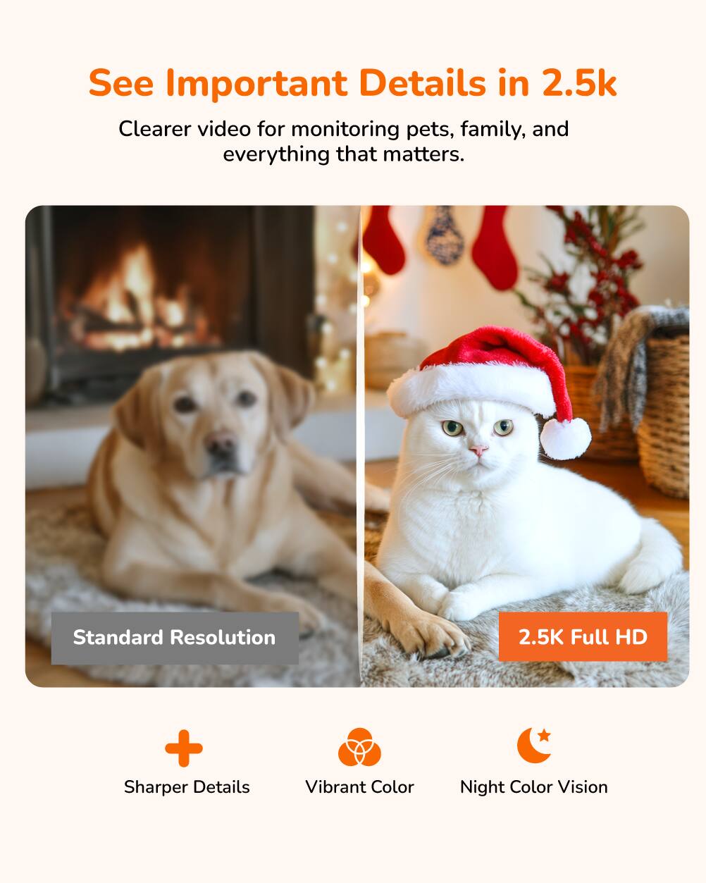 See Important Details in 2.5k  
Clearer video for monitoring pets, family, and everything that matters.  

Standard Resolution  
2.5K Full HD  
+ Sharper Details  
Vibrant Color  
Night Color Vision