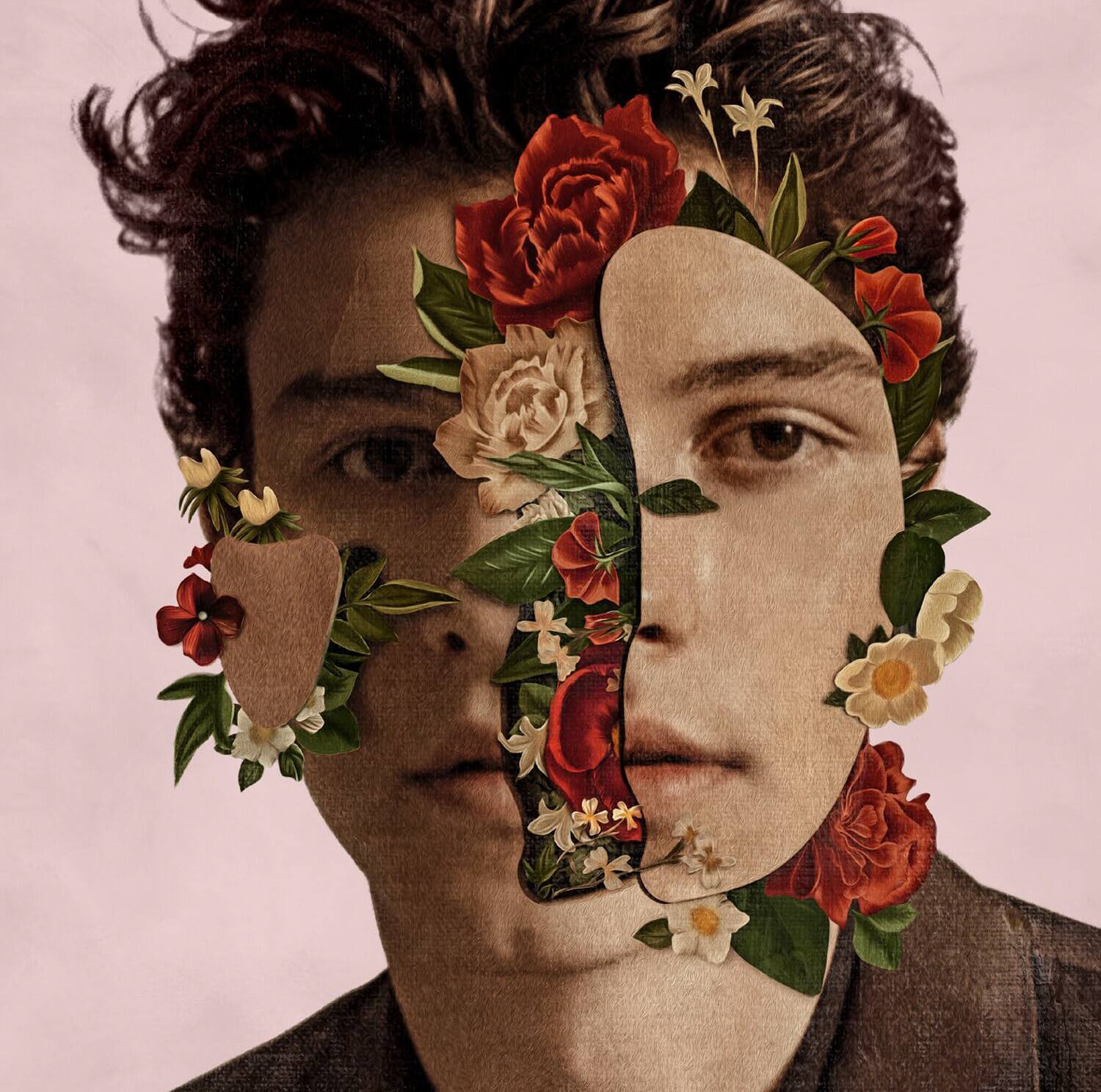 Front. Shawn Mendes - Shawn Mendes   - COMPACT DISCS.