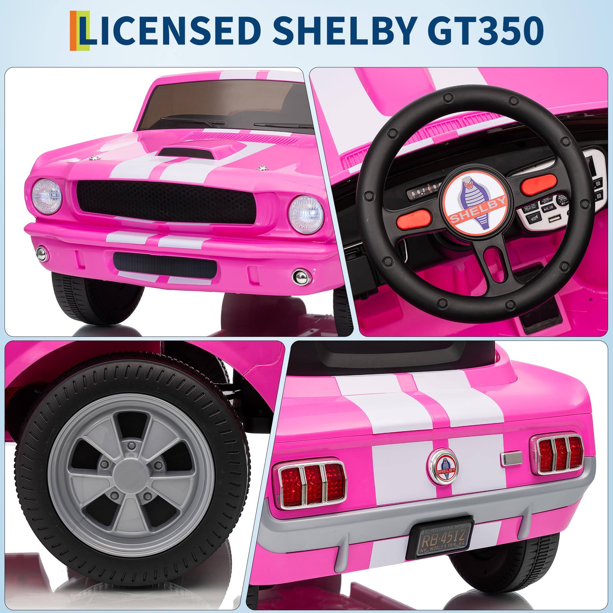 LICENSED SHELBY GT350

RB-451Z

AN2146

24 9