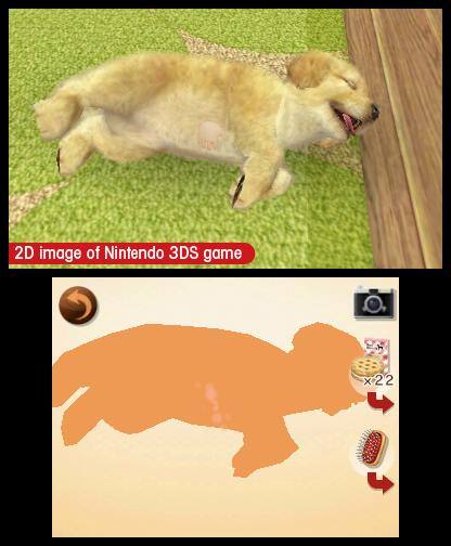 2D image of Nintendo 3DS game

x22