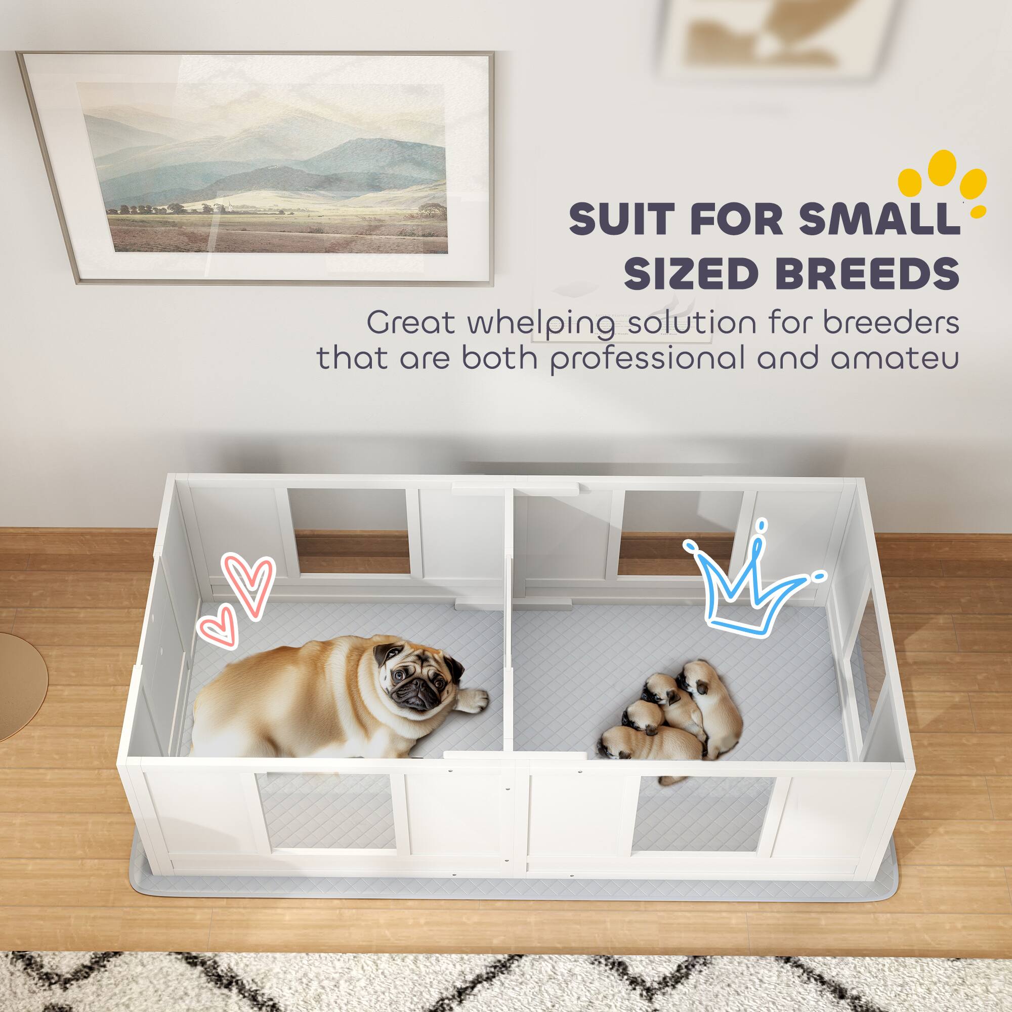 SUIT FOR SMALL SIZED BREEDS

Great whelping solution for breeders that are both professional and amateur