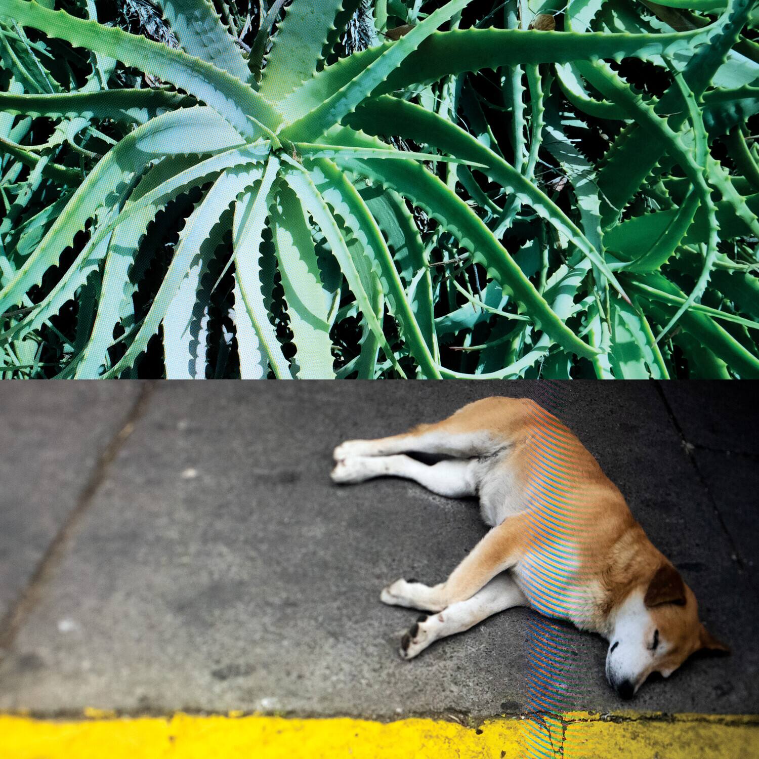 Front. Steve Bates - All The Things That Happen   - VINYL LP.