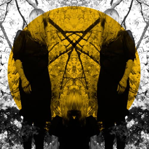 Austra - Feel It Break   - COMPACT DISCS [CD] price history on PriceWatchPro