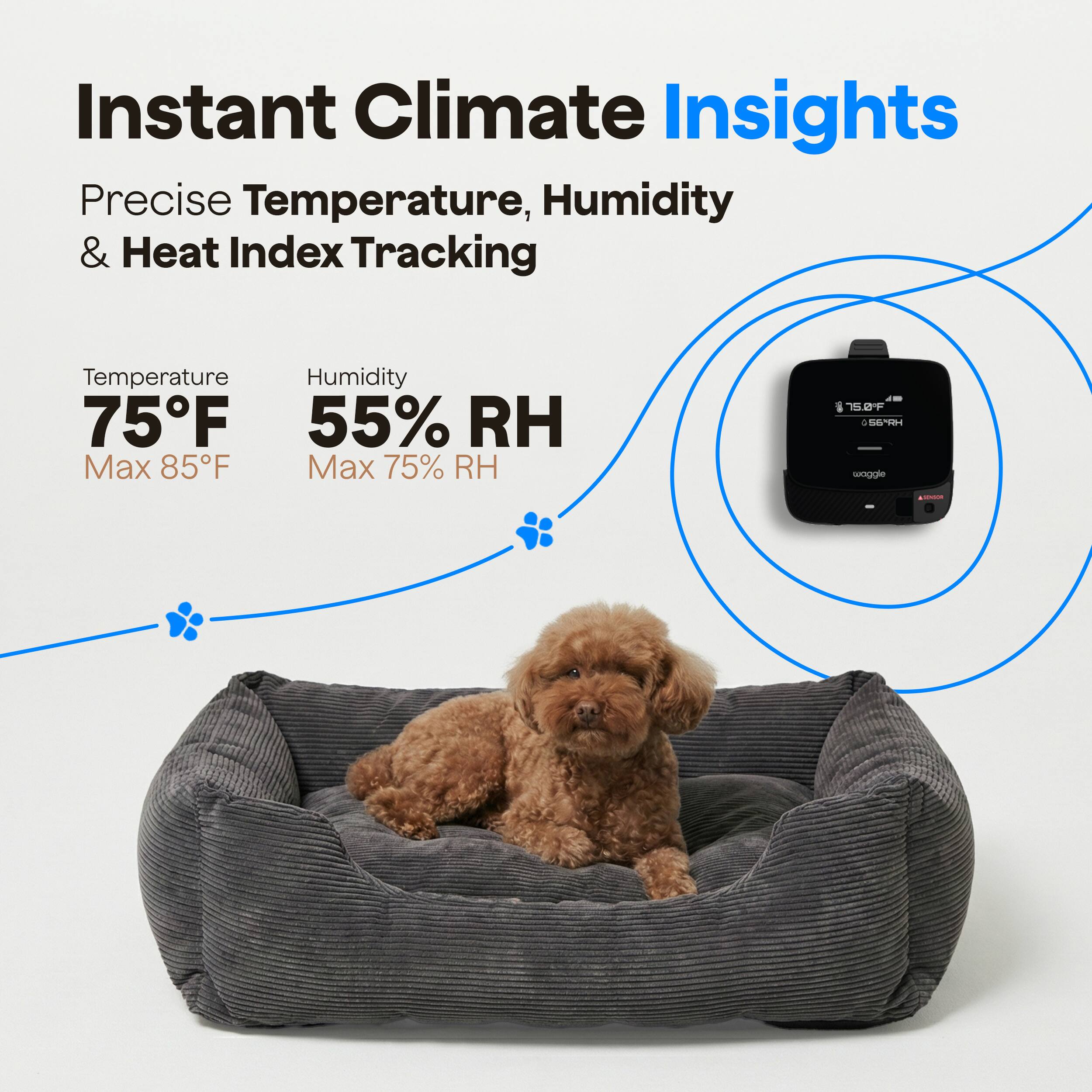 Instant Climate Insights  
Precise Temperature, Humidity & Heat Index Tracking  

Temperature: 75°F  
Max 85°F  

Humidity: 55% RH  
Max 75% RH