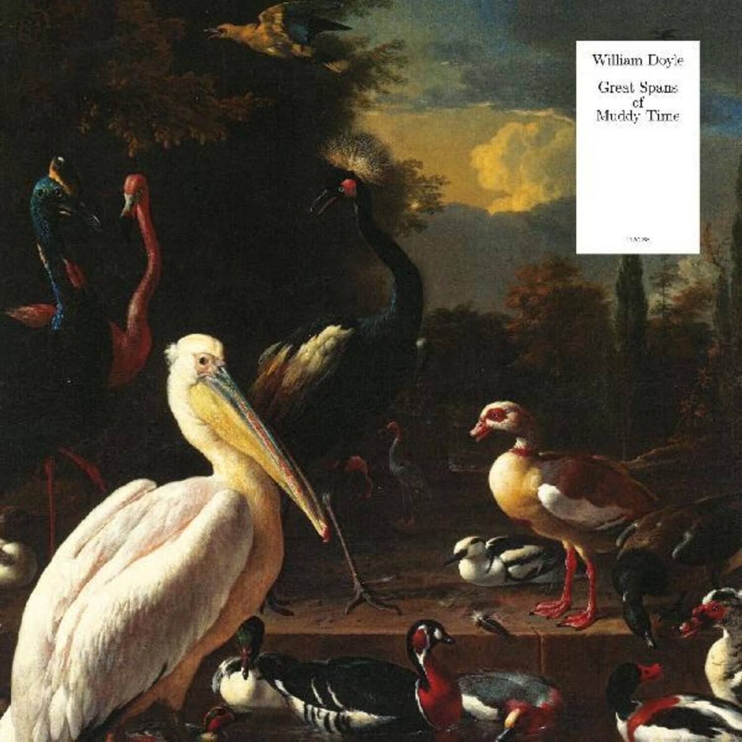 William Doyle's Greatest Spans of Muddy Time