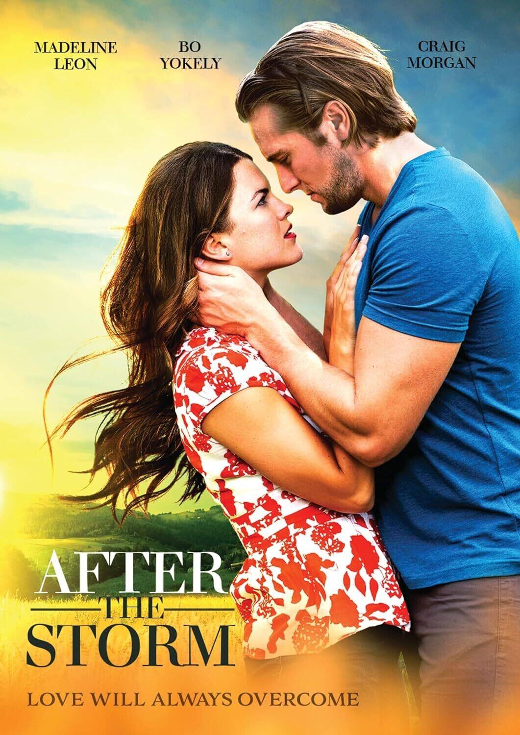 After the Storm  - DVD