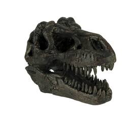 Zeckos - Tyrannosaurus Rex Dinosaur Skull Fossil Statue Small - Brown