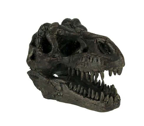 Front. Zeckos - Tyrannosaurus Rex Dinosaur Skull Fossil Statue Small - Brown.
