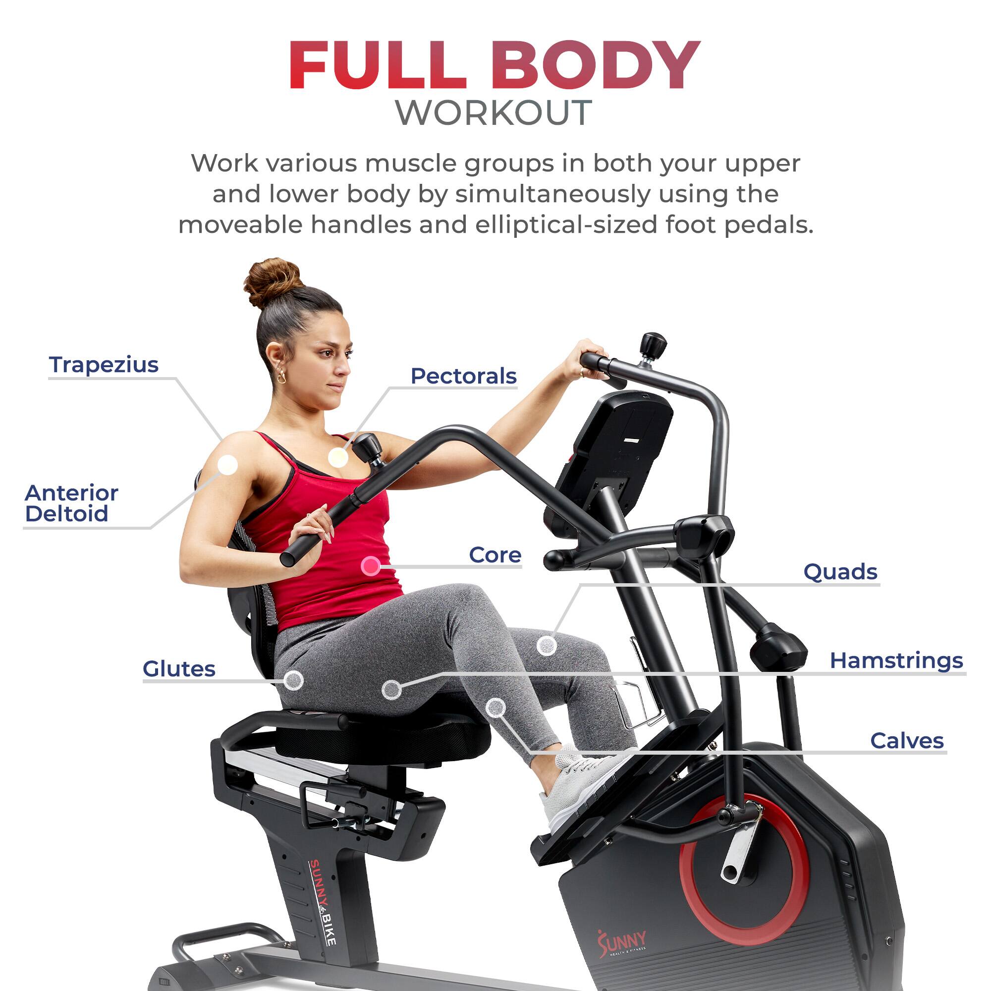 FULL BODY WORKOUT
Work various muscle groups in both your upper and lower body by simultaneously using the moveable handles and elliptical-sized foot pedals.
Trapezius
Pectorals
Anterior Deltoid
Core
Quads
Glutes
Hamstrings
Calves
SUNNY&BIKE
SUNNY