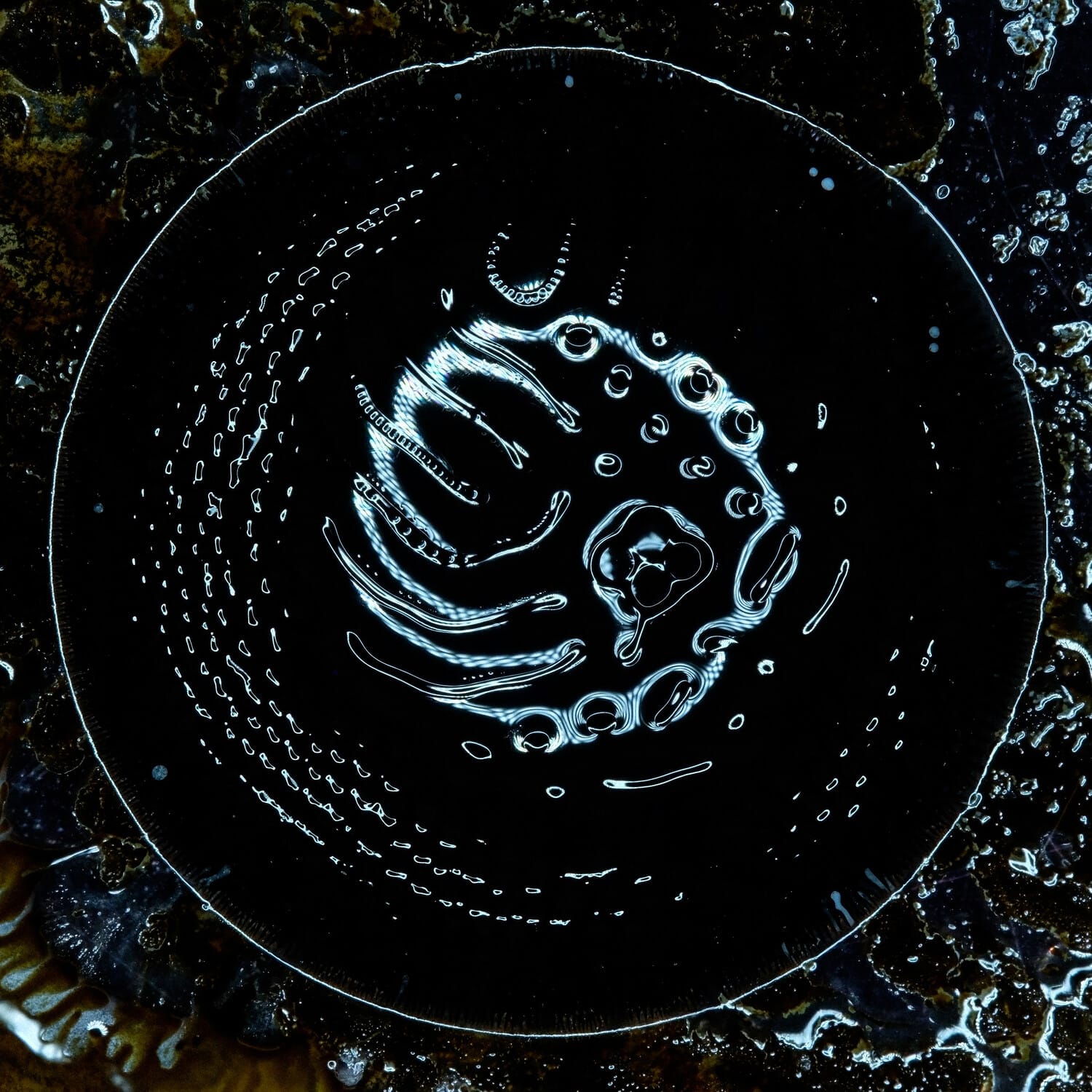 Stonus - Stonus   - COMPACT DISCS [CD]