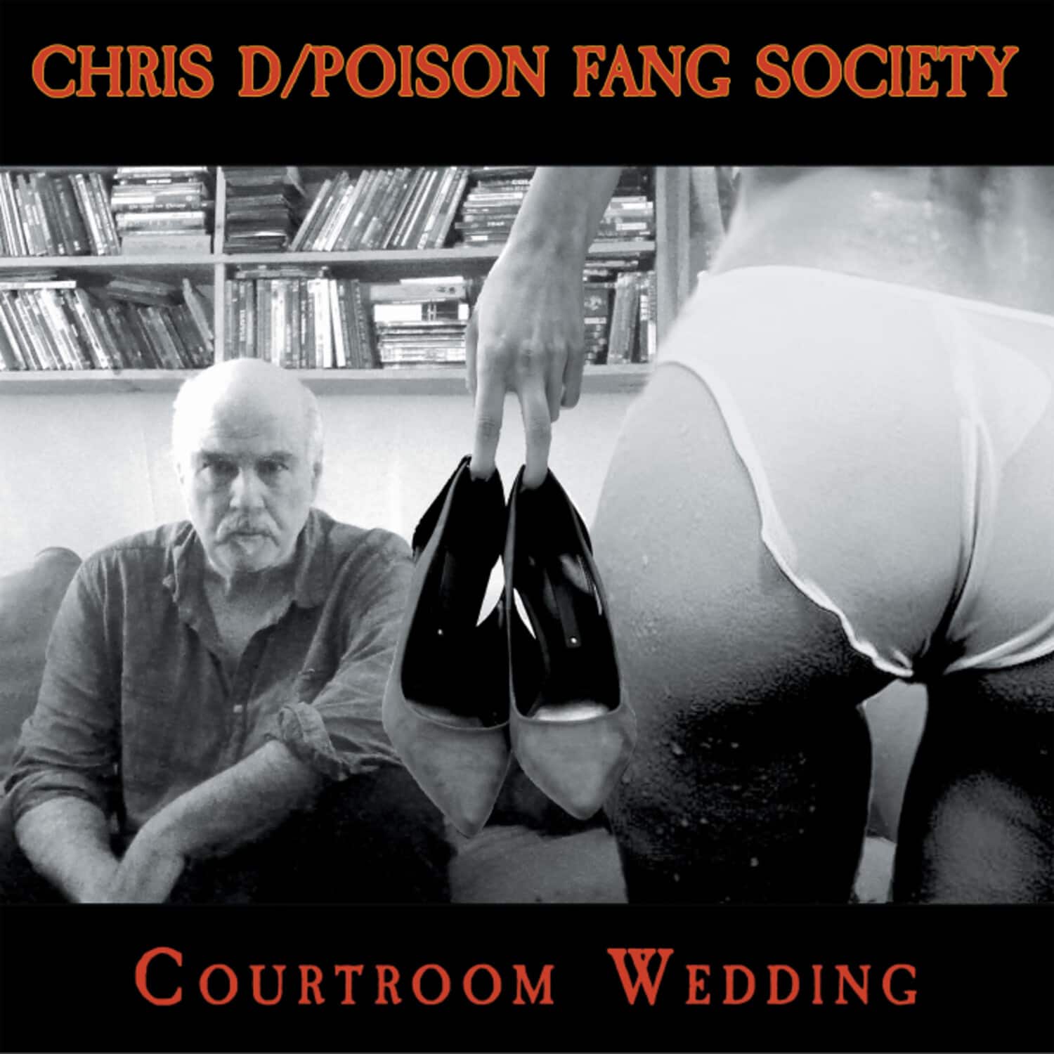 Chris D - Courtroom Wedding   - COMPACT DISCS [CD] price history on PriceWatchPro
