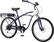 Angle Standard. Currie Technologies - Izip Zuma Men's Electric Bike.