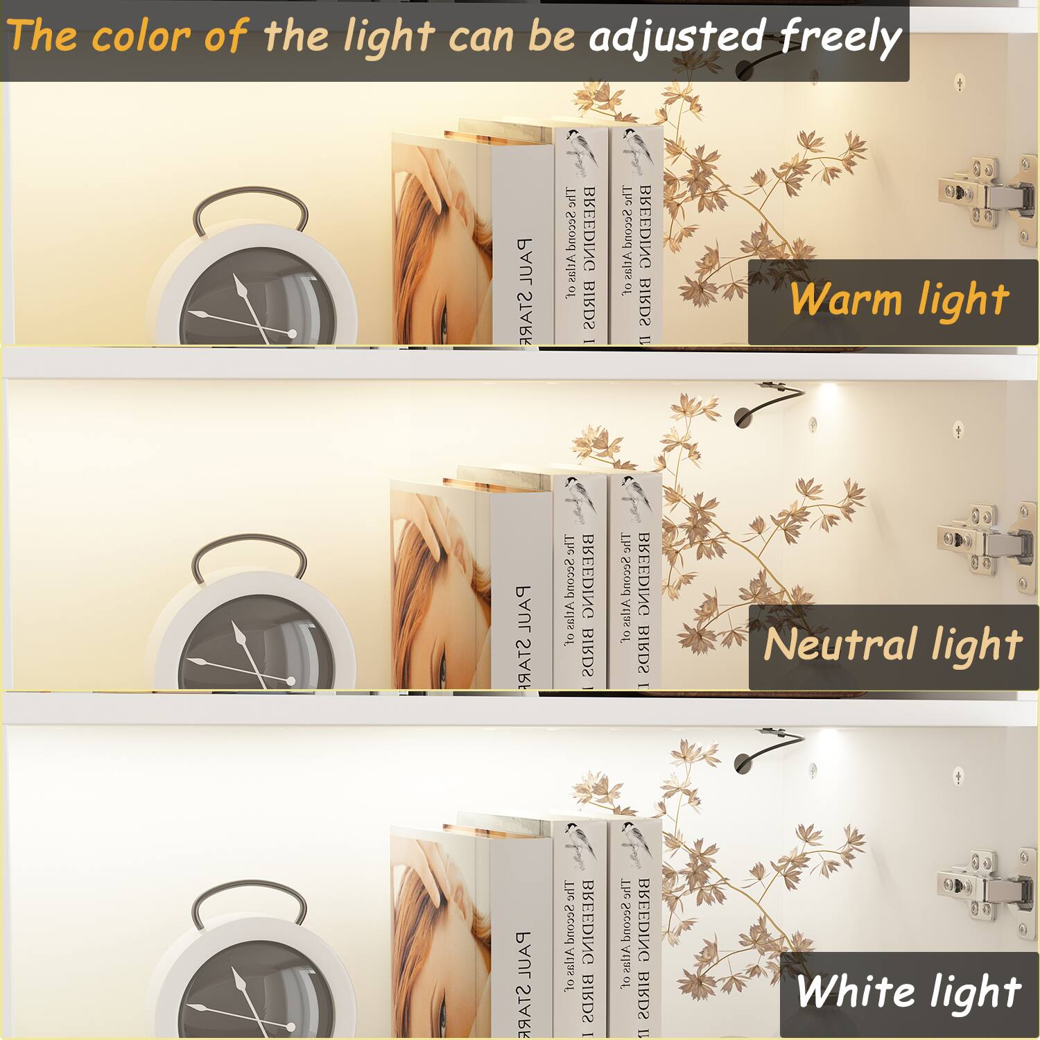 The color of the light can be adjusted freely. Warm light. Neutral light. White light.