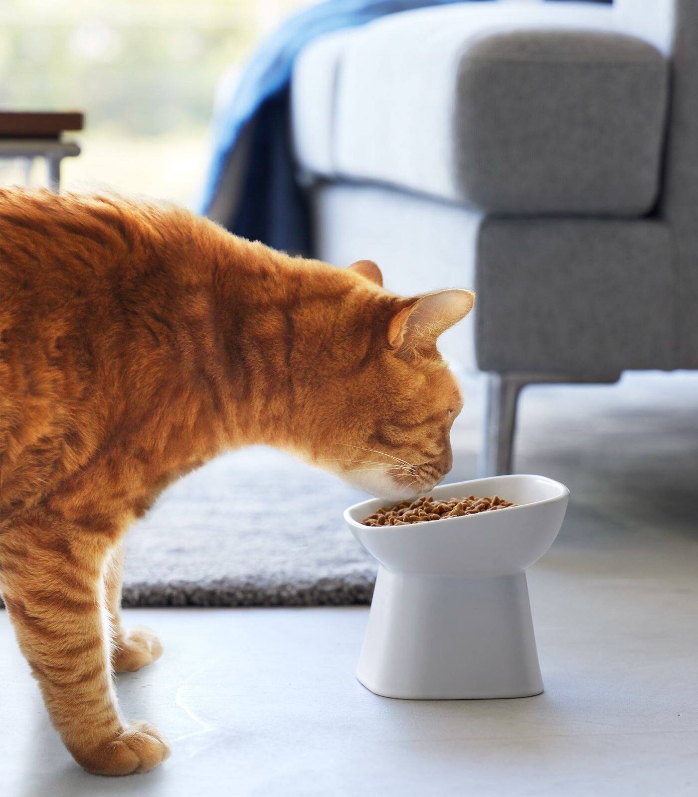 Alt View 1. Yamazaki Home - Tilted Pet Food Bowl - Black.